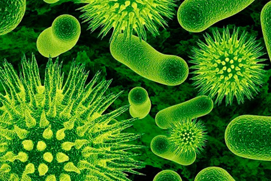 El TC analiza la lucha contra las resistencias antimicrobianas en la UE